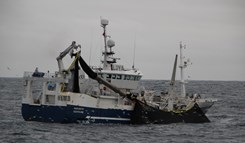 Roaldsen på loddefiske Island 2015